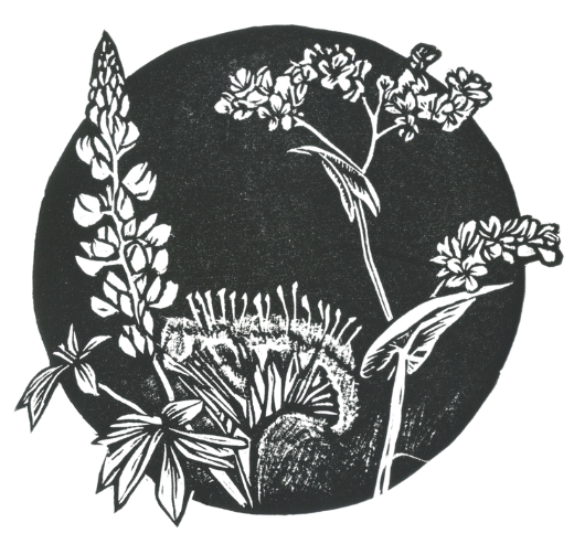 Special Freight To Japan